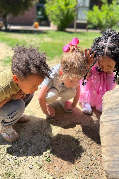 City Garden 2 children playing outside on a sunny day